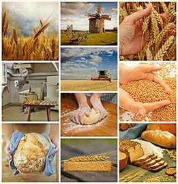 Flour Mil-Winning Foods Image