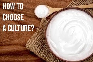 Yogurt Starter