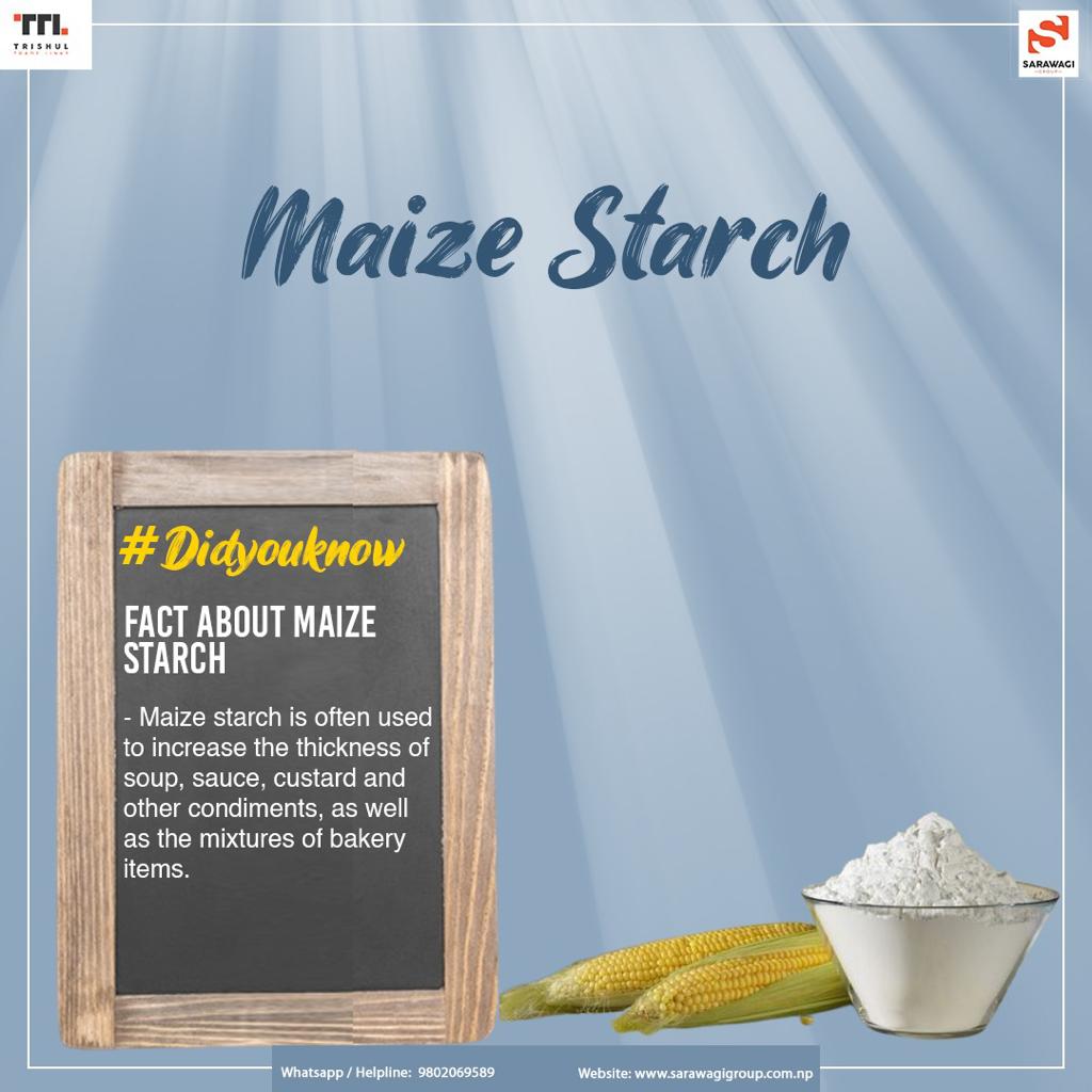Maize Starch